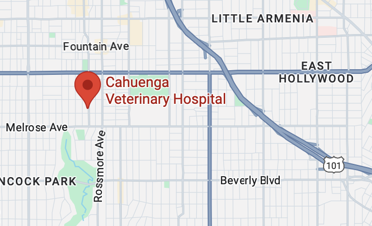google-map